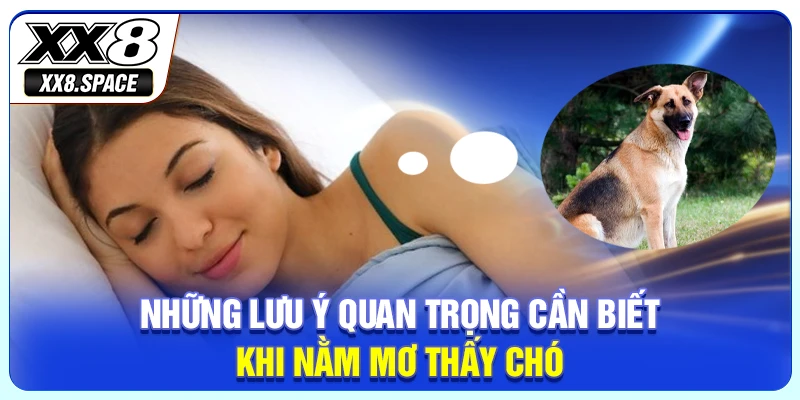 Những lưu ý quan trọng cần biết khi nằm mơ thấy chó